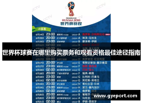 世界杯球赛在哪里购买票务和观看资格最佳途径指南