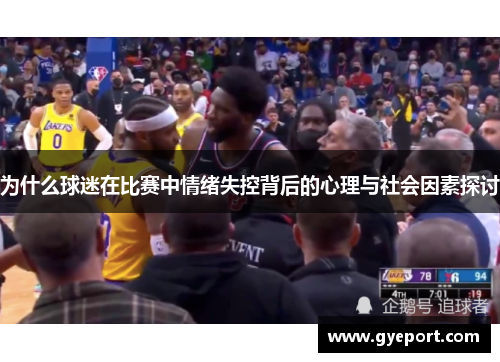 为什么球迷在比赛中情绪失控背后的心理与社会因素探讨