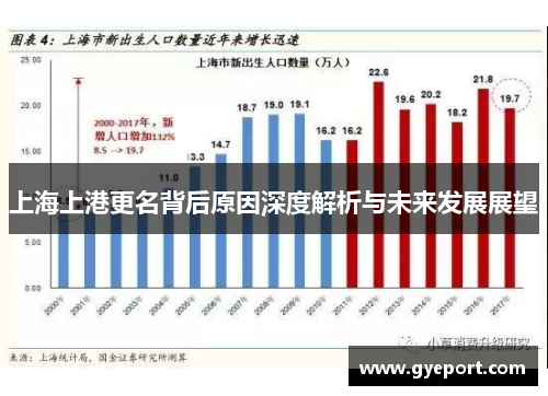 上海上港更名背后原因深度解析与未来发展展望