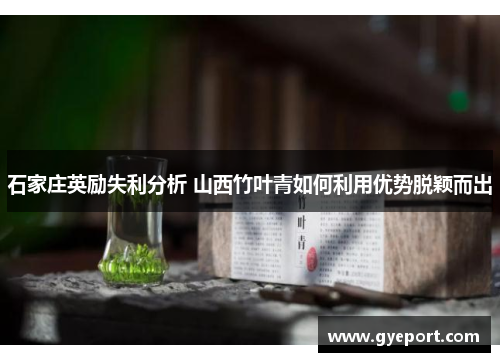 石家庄英励失利分析 山西竹叶青如何利用优势脱颖而出