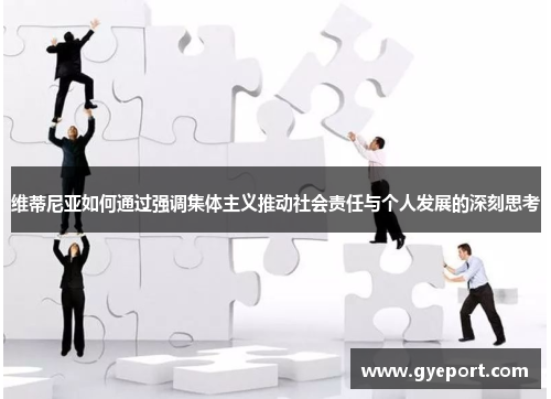 维蒂尼亚如何通过强调集体主义推动社会责任与个人发展的深刻思考