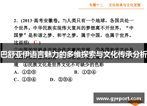 巴舒亚伊语言魅力的多维探索与文化传承分析