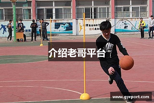 介绍老哥平台